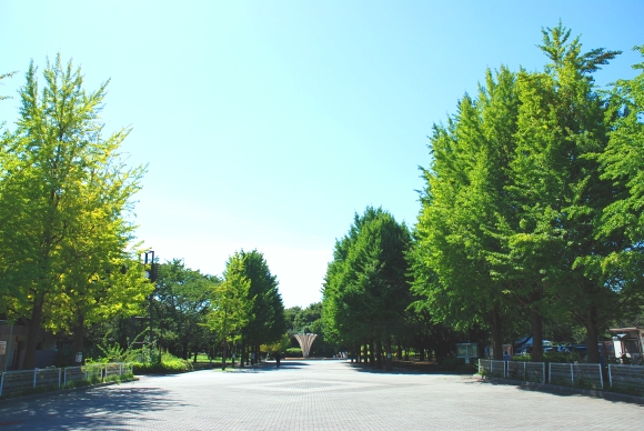赤塚公園　バーベキュー